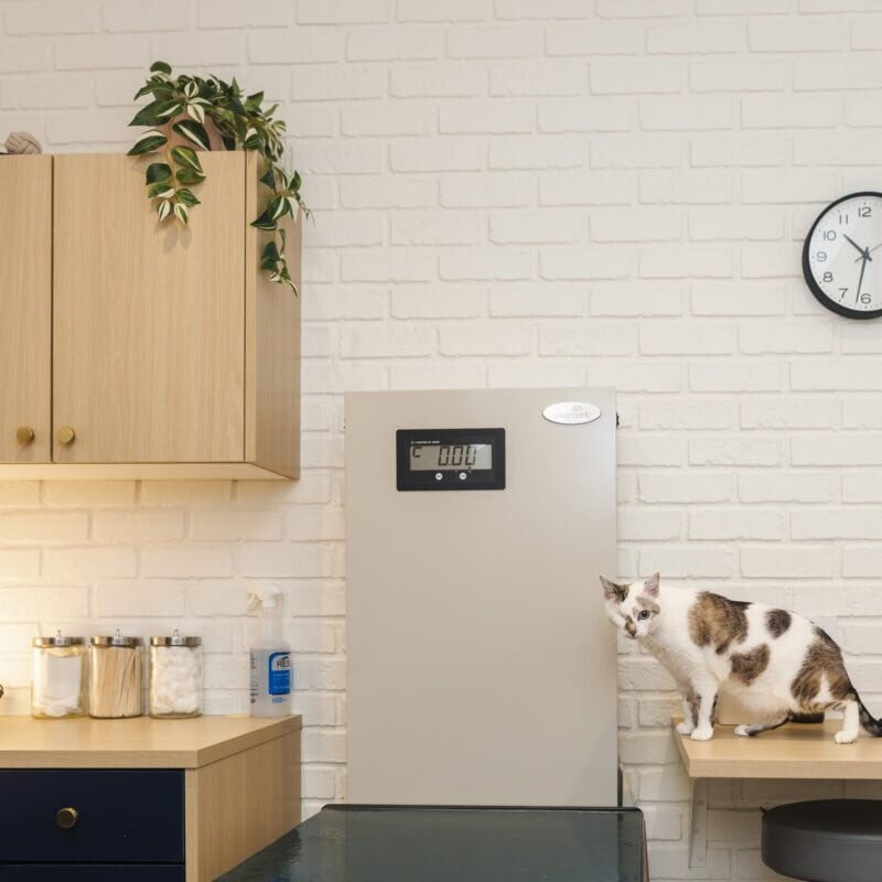 2025_05_27_HC_BondVet_5848